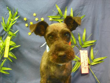 ファイル 4420-2.jpg