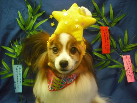 ファイル 4421-1.jpg