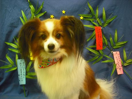 ファイル 4421-2.jpg