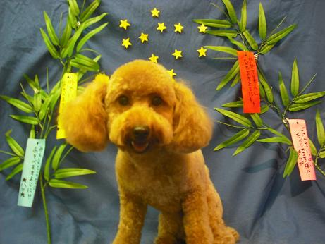 ファイル 4422-1.jpg