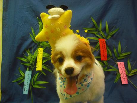 ファイル 4423-1.jpg