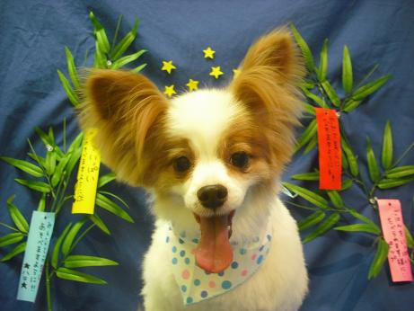 ファイル 4423-2.jpg