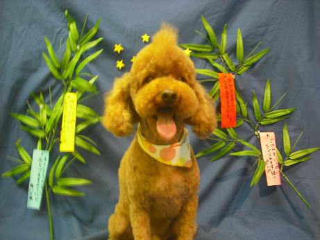 ファイル 4425-1.jpg