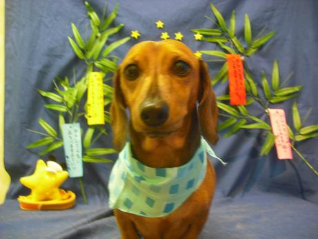 ファイル 4427-2.jpg