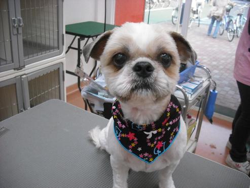 ファイル 443-2.jpg