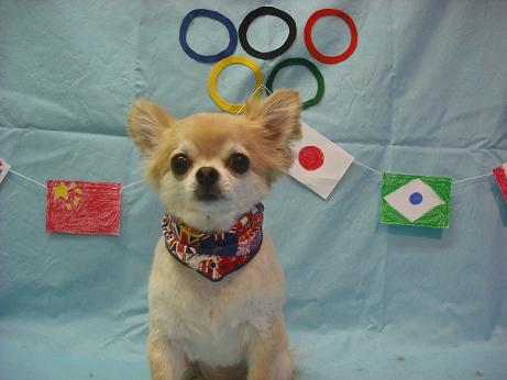 ファイル 4438-1.jpg