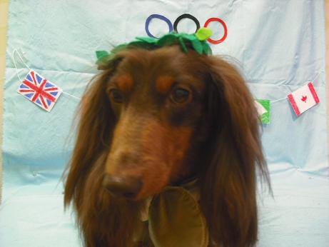 ファイル 4439-1.jpg