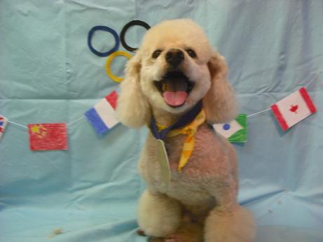 ファイル 4440-1.jpg