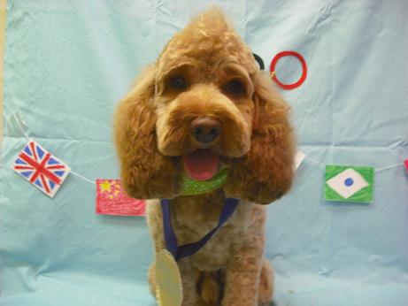 ファイル 4441-1.jpg