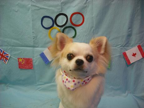 ファイル 4442-2.jpg