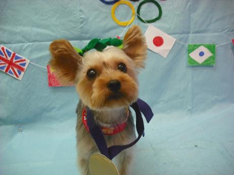 ファイル 4446-1.jpg