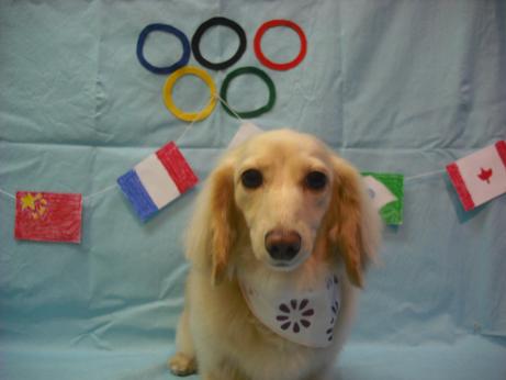 ファイル 4447-2.jpg