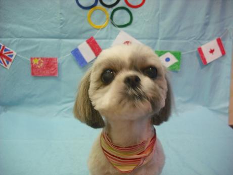 ファイル 4448-2.jpg