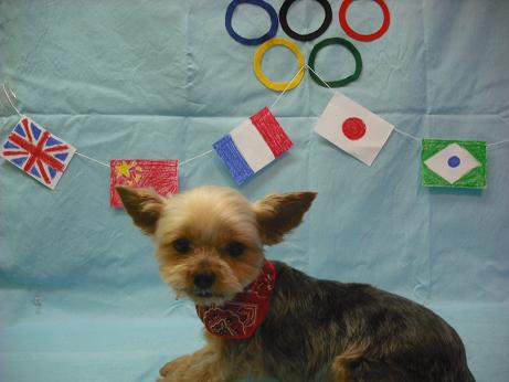 ファイル 4449-2.jpg