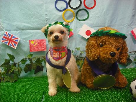 ファイル 4451-1.jpg