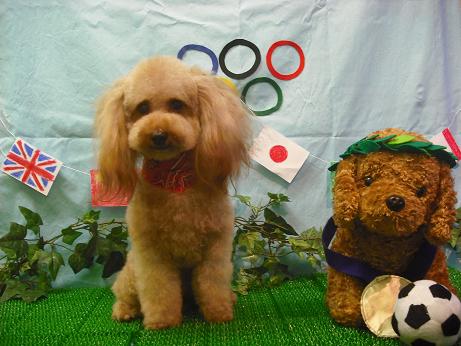 ファイル 4453-2.jpg