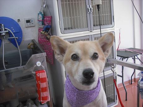 ファイル 4454-2.jpg