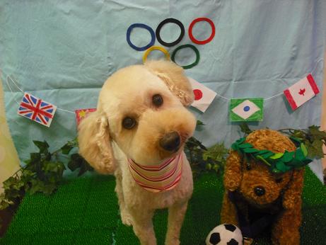 ファイル 4455-2.jpg