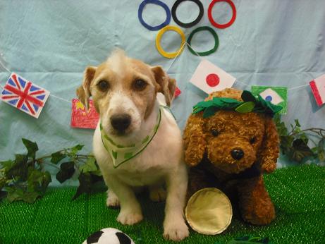 ファイル 4457-2.jpg