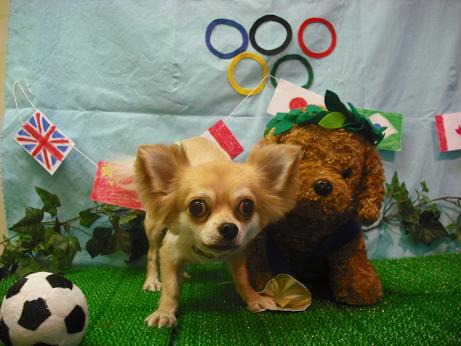 ファイル 4458-2.jpg