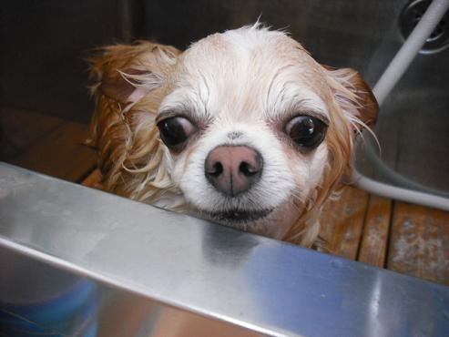 ファイル 446-2.jpg