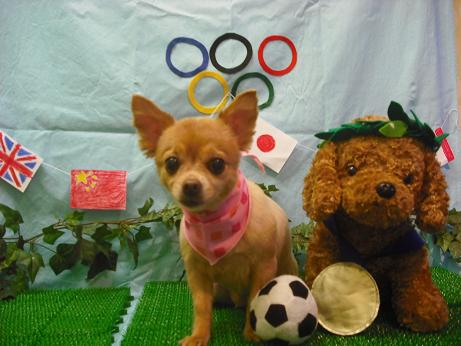 ファイル 4460-2.jpg