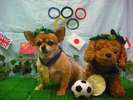 ファイル 4461-1.jpg