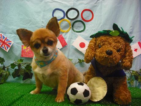 ファイル 4461-2.jpg