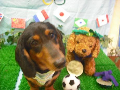 ファイル 4462-2.jpg