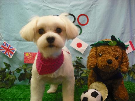 ファイル 4463-1.jpg