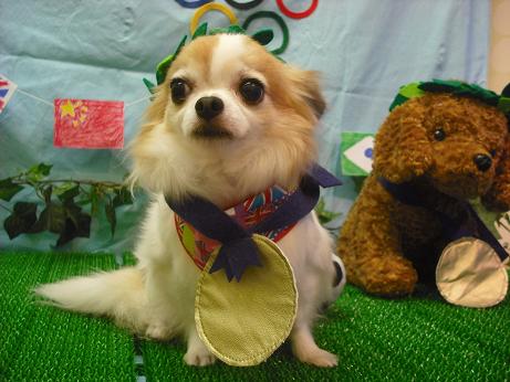 ファイル 4465-1.jpg