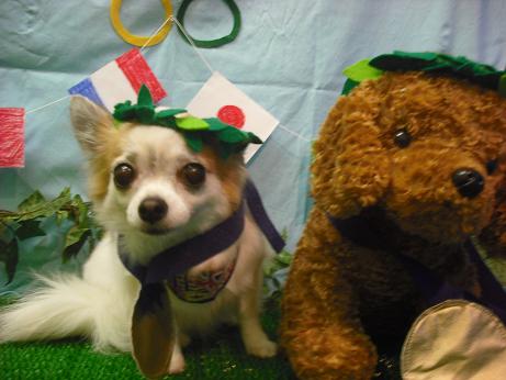 ファイル 4466-1.jpg