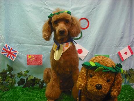 ファイル 4468-1.jpg