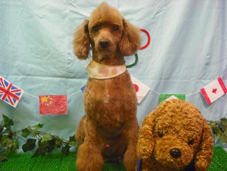 ファイル 4468-2.jpg