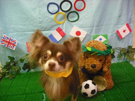 ファイル 4469-2.jpg