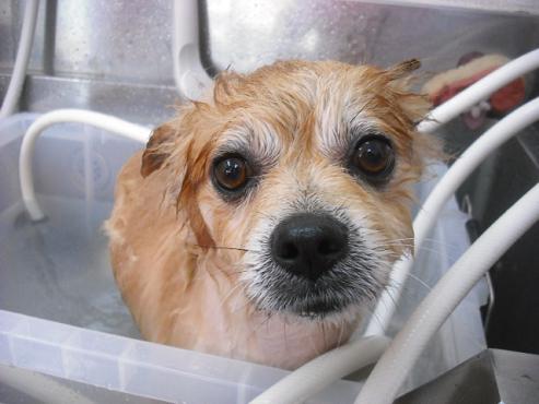 ファイル 447-2.jpg