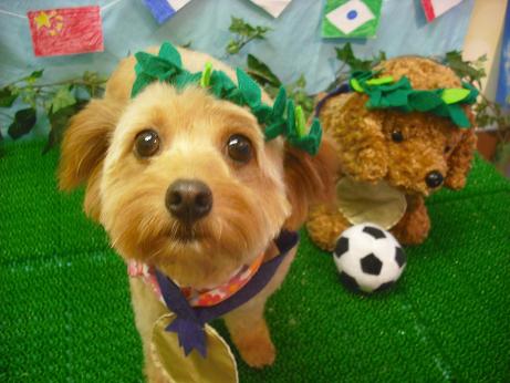 ファイル 4471-1.jpg