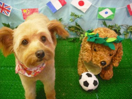 ファイル 4471-2.jpg