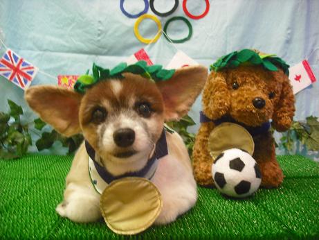 ファイル 4473-1.jpg