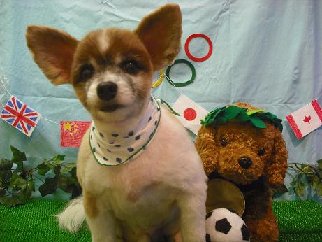 ファイル 4473-2.jpg