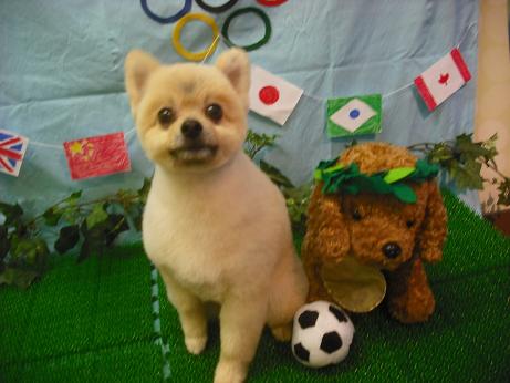 ファイル 4474-2.jpg