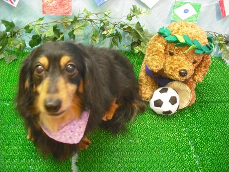 ファイル 4477-2.jpg