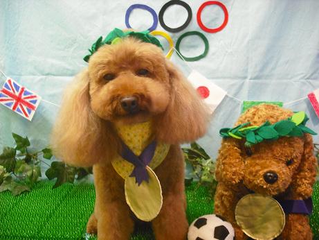 ファイル 4479-1.jpg