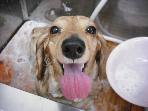 ファイル 448-2.jpg