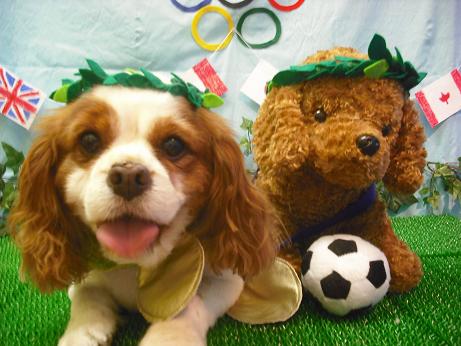 ファイル 4480-1.jpg