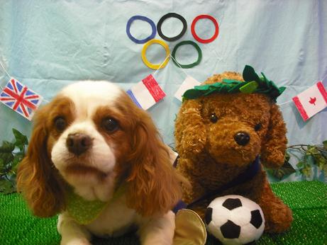 ファイル 4480-2.jpg