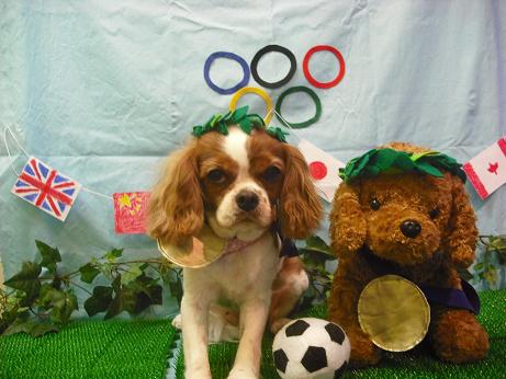 ファイル 4481-1.jpg