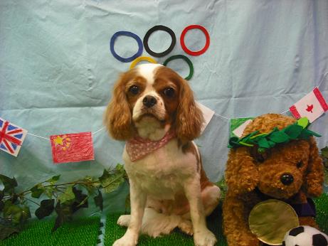 ファイル 4481-2.jpg