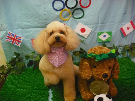 ファイル 4482-2.jpg