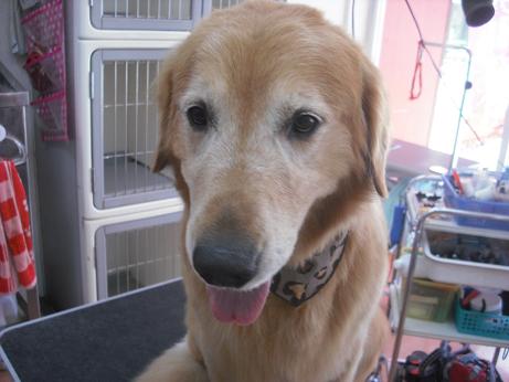 ファイル 4483-1.jpg